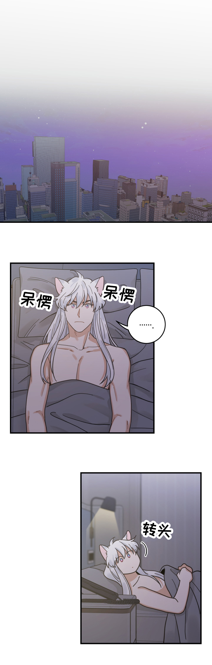 亲爱的喵君下拉式漫画,第51章：睡醒4图