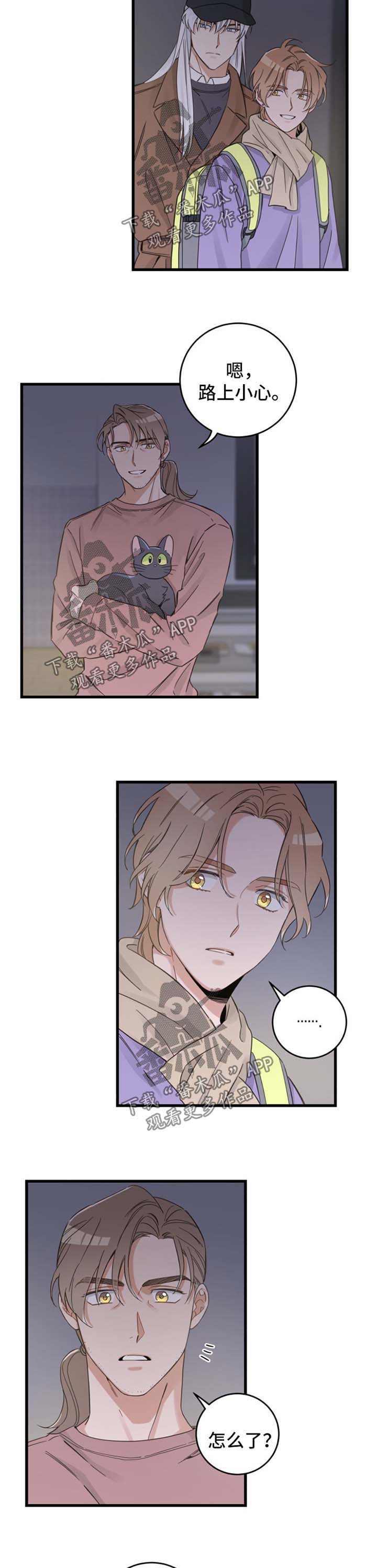 亲爱的喵先生弗朗明戈漫画,第78章：宠物心得5图