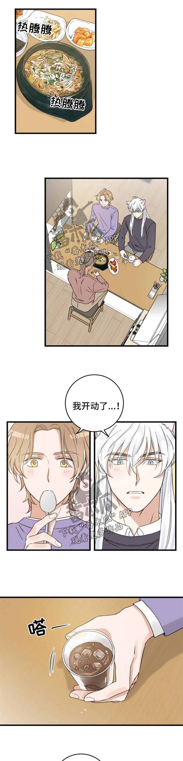 亲爱的喵先生弗朗明戈漫画,第78章：宠物心得1图