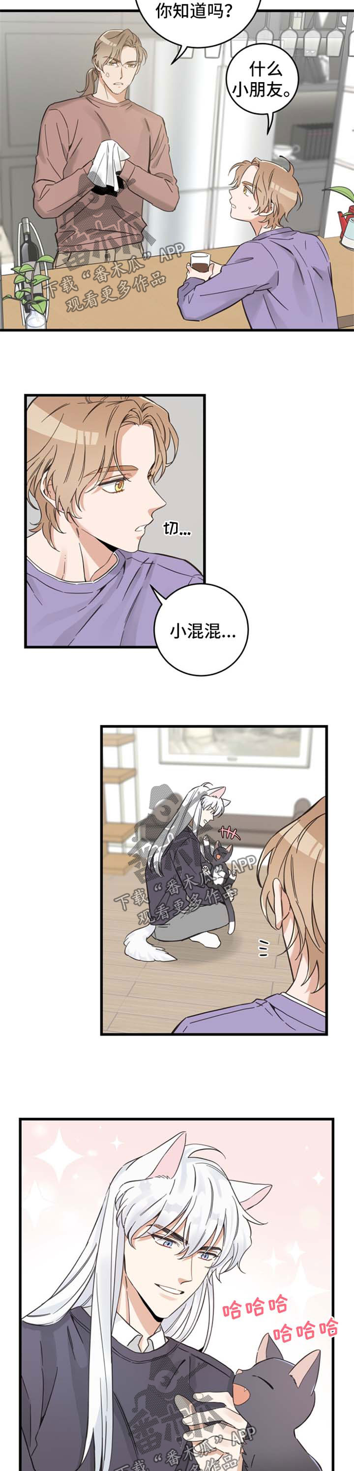 亲爱的喵先生弗朗明戈漫画,第78章：宠物心得3图