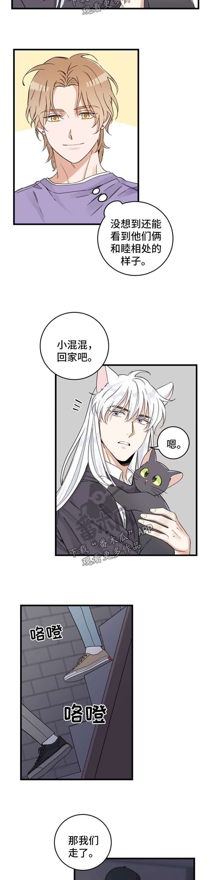 亲爱的喵先生弗朗明戈漫画,第78章：宠物心得4图