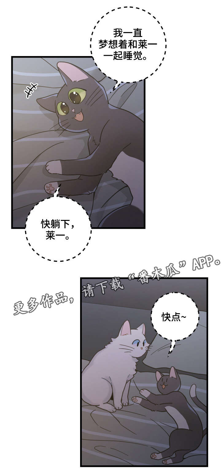 亲爱的喵君免费阅读漫画,第39章：你别走5图