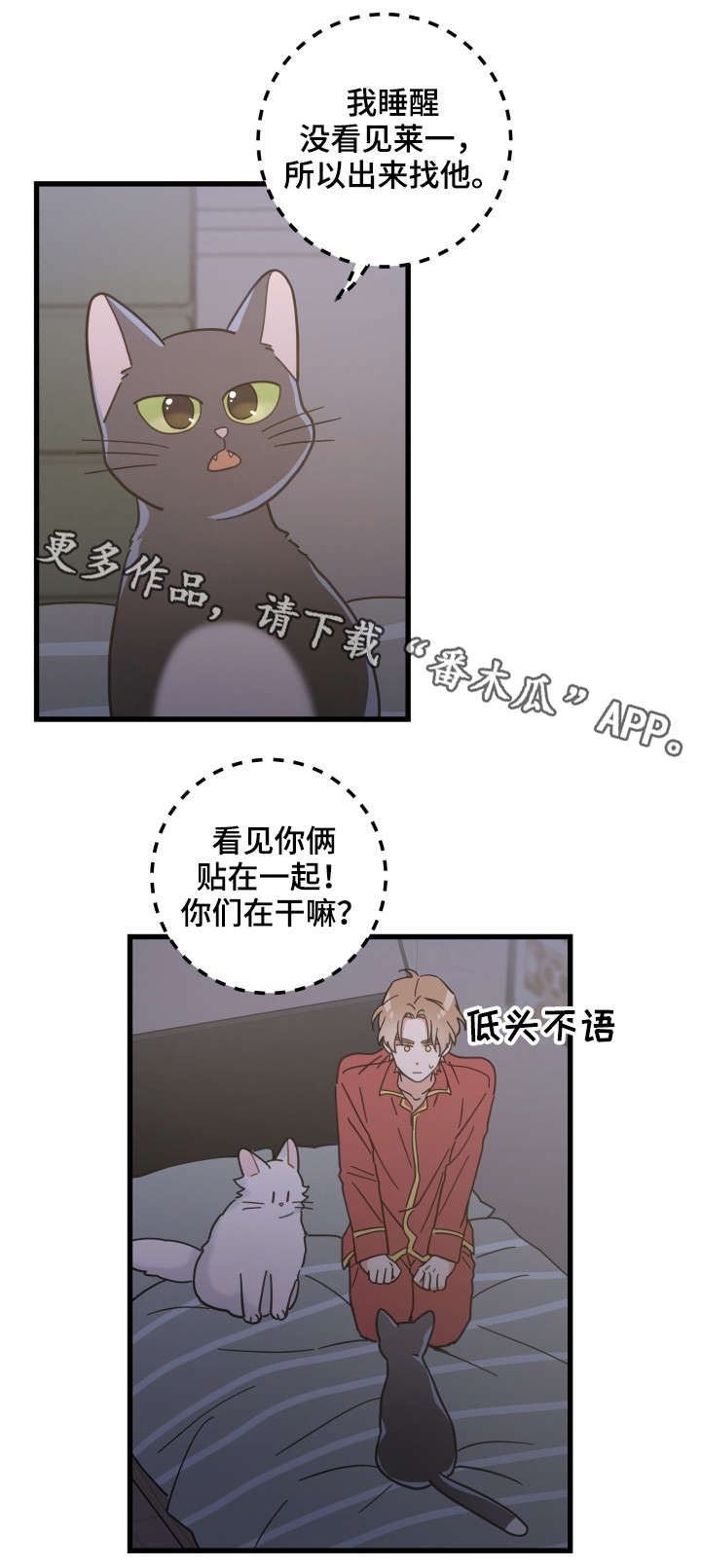 亲爱的喵君免费阅读漫画,第39章：你别走1图