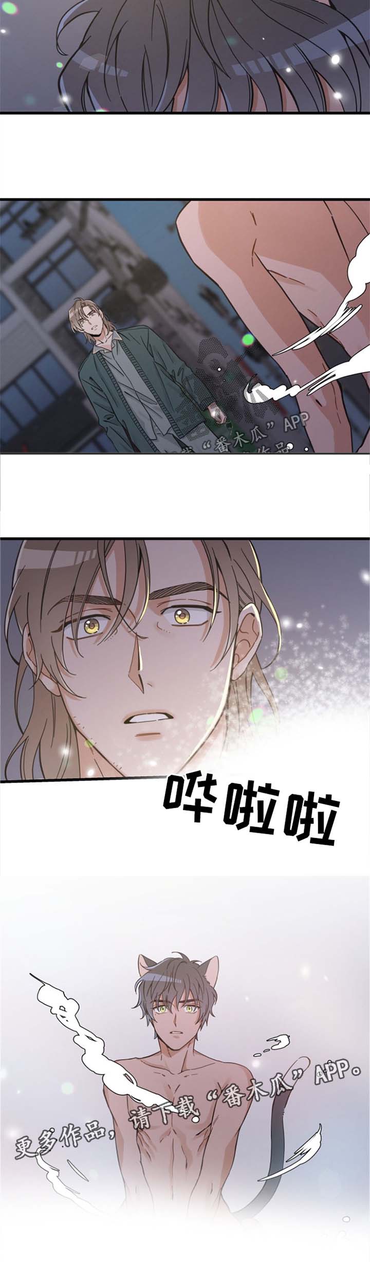 亲爱的热爱的片段漫画,第82章：变人2图