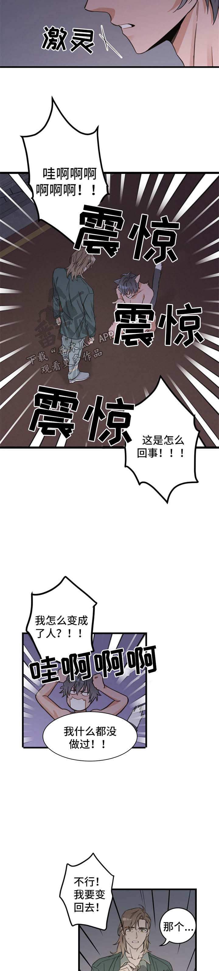 亲爱的热爱的片段漫画,第82章：变人4图