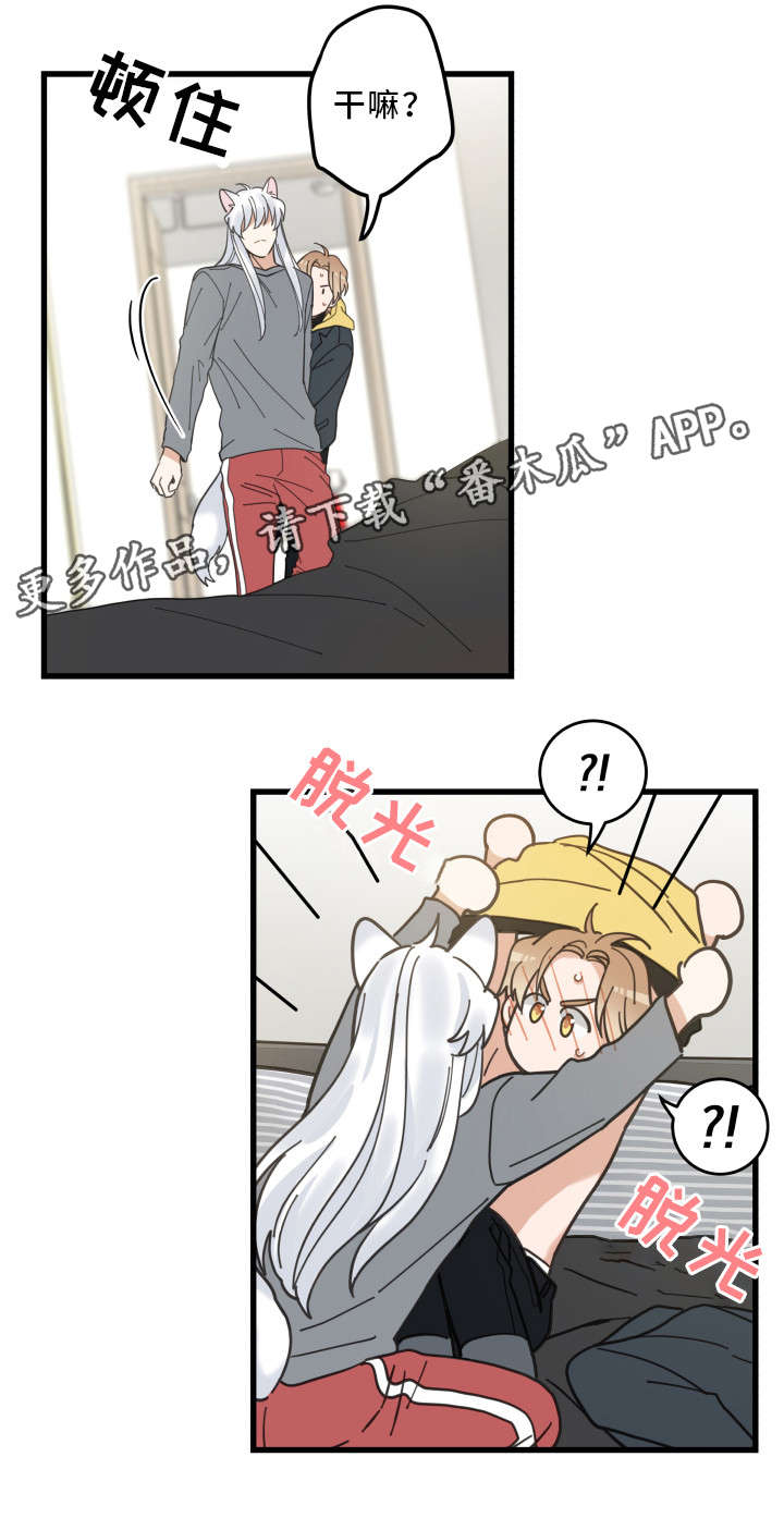 亲爱的喵君百度云漫画,第25章：分享爱1图