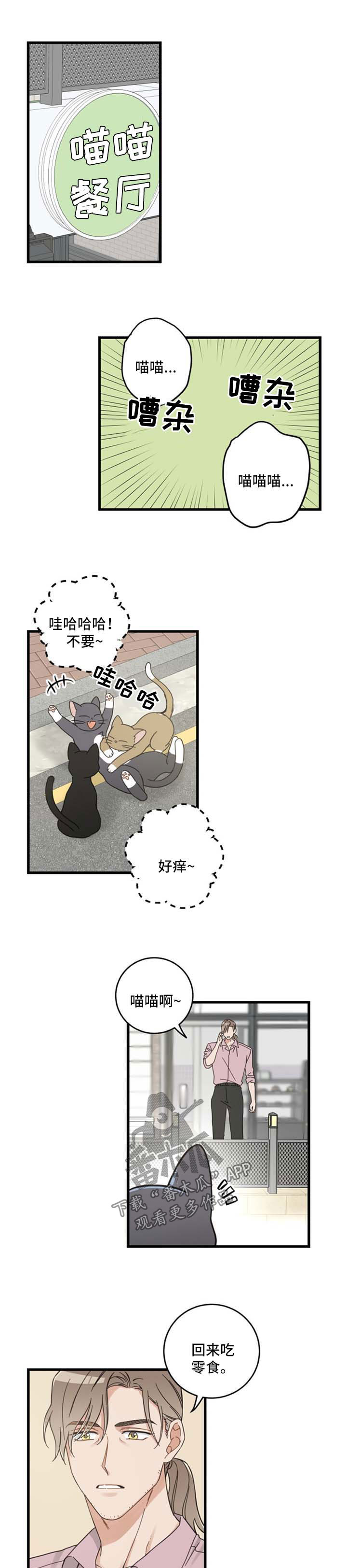 亲爱的翻译官电视剧全集在线免费漫画,第91章：忧愁5图