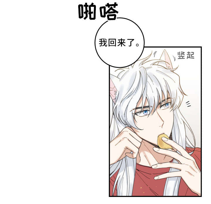 亲爱的喵君漫画免费阅读全集漫画,第9章：换衣服2图