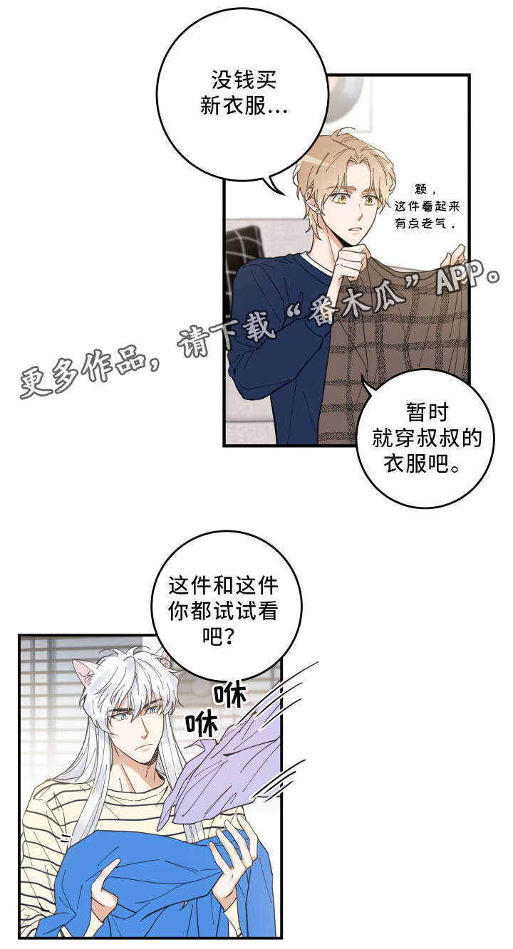 亲爱的喵君漫画免费阅读全集漫画,第9章：换衣服5图