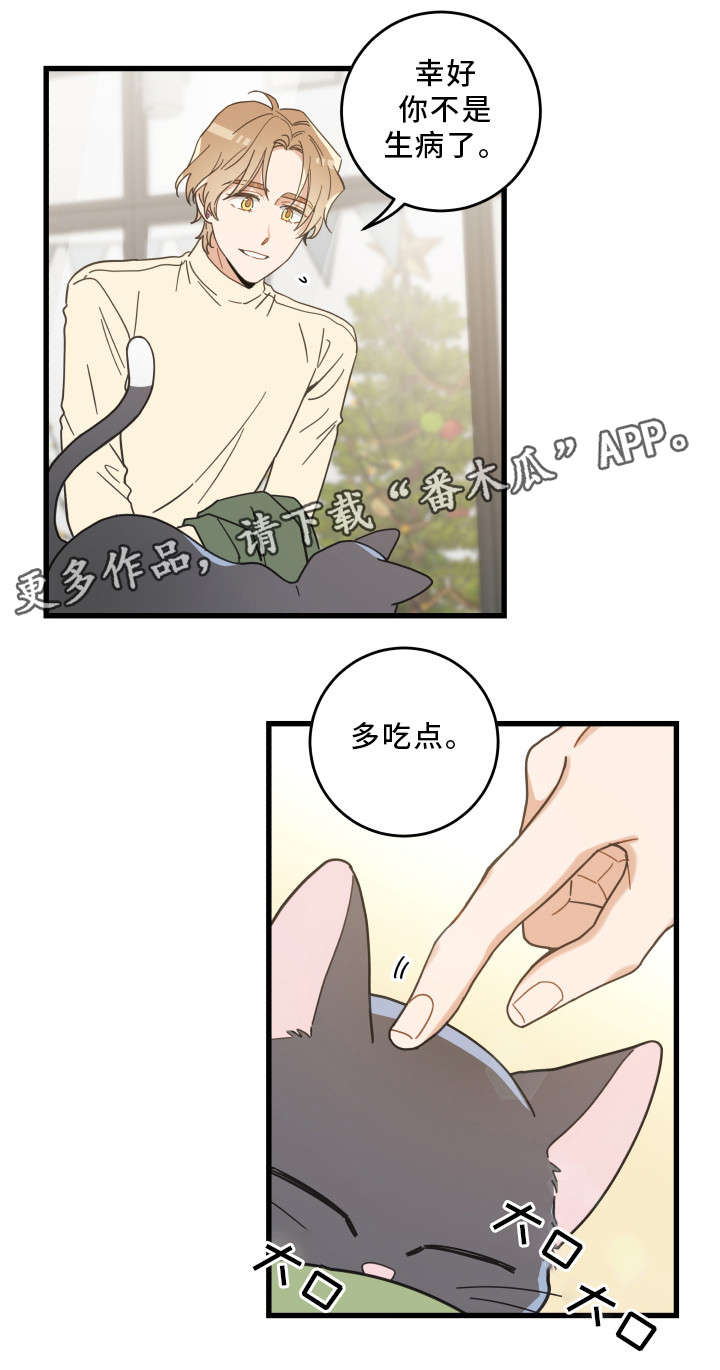 亲爱的喵君非麻瓜漫画,第33章：好想你5图