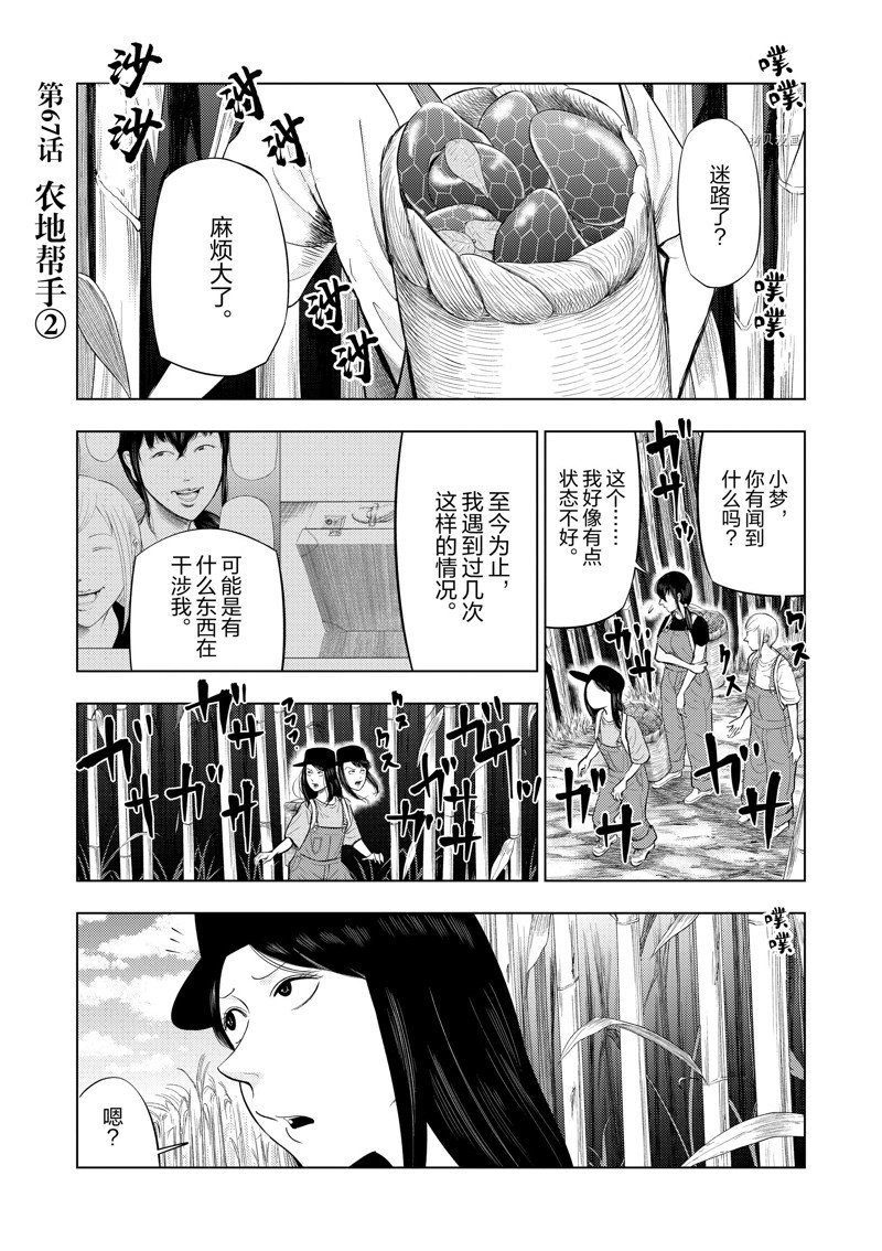 灰色职业违法吗漫画,第67话1图