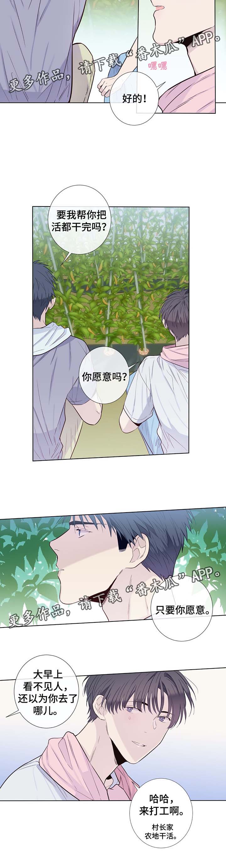 田园一品二期二室一厅漫画,第31章：晕倒4图