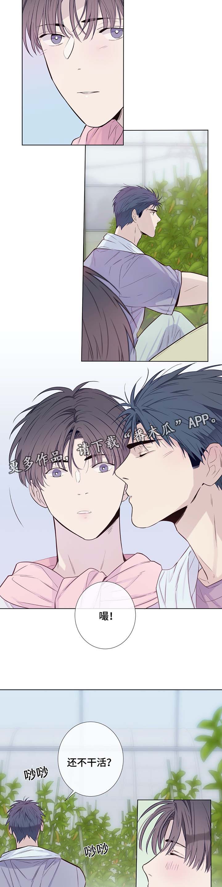 田园一品二期二室一厅漫画,第31章：晕倒3图