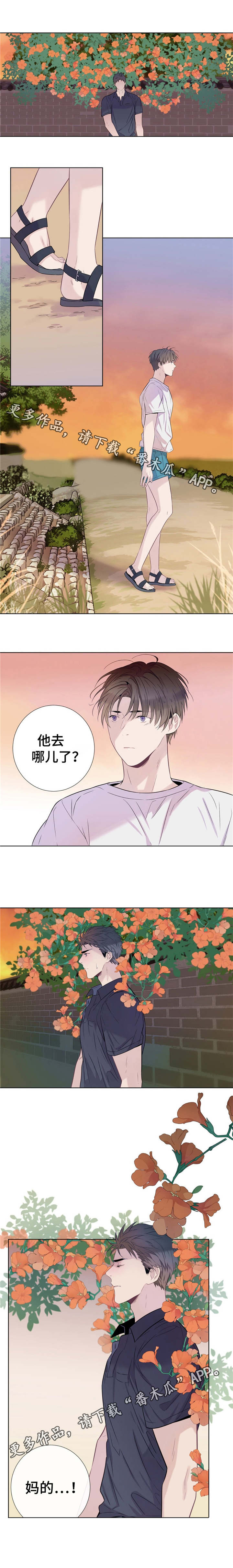 乡村田园治愈夏天漫画,第11章：请爱护它4图
