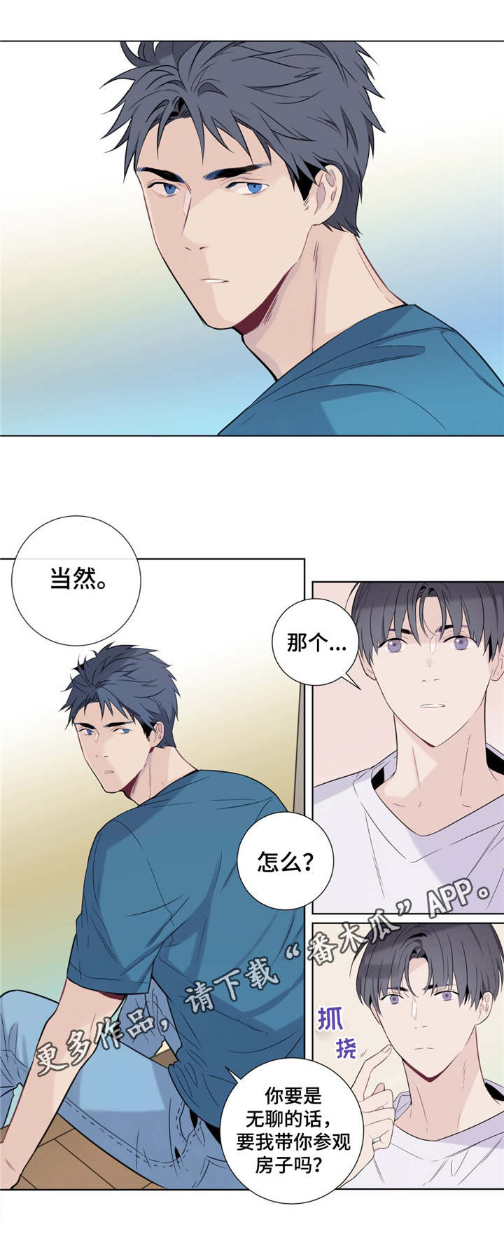乡村田园治愈夏天漫画,第5章：理由1图