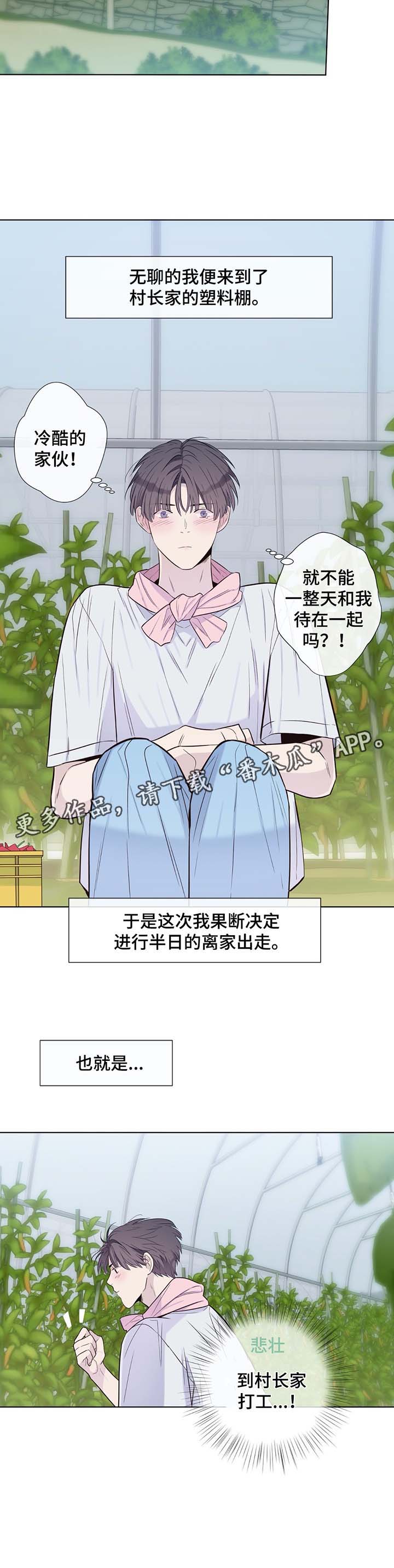 田园一层半茅草别墅漫画,第30章：收获辣椒3图