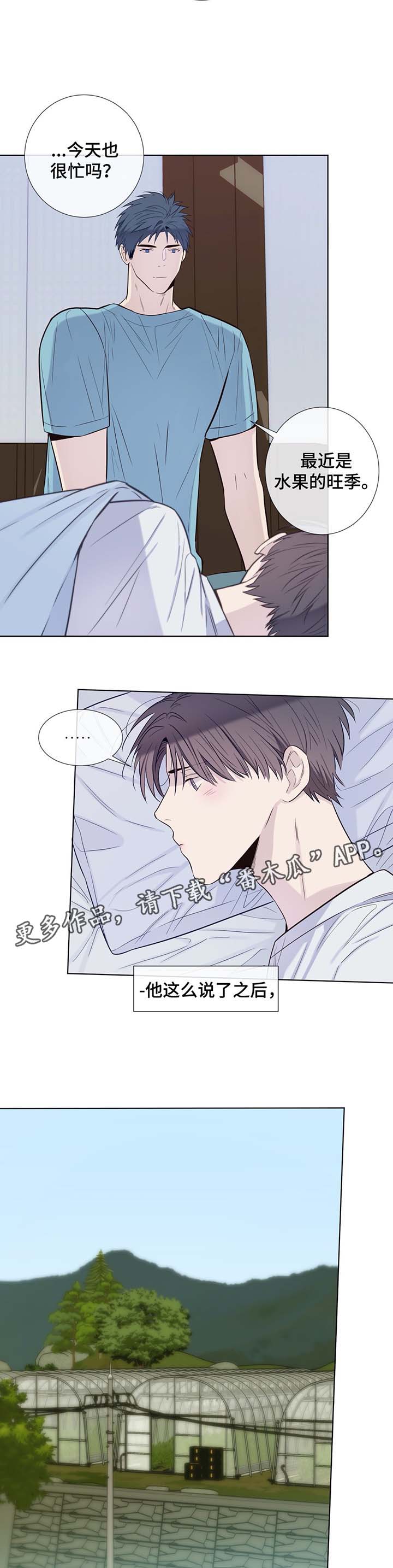 田园一层半茅草别墅漫画,第30章：收获辣椒2图