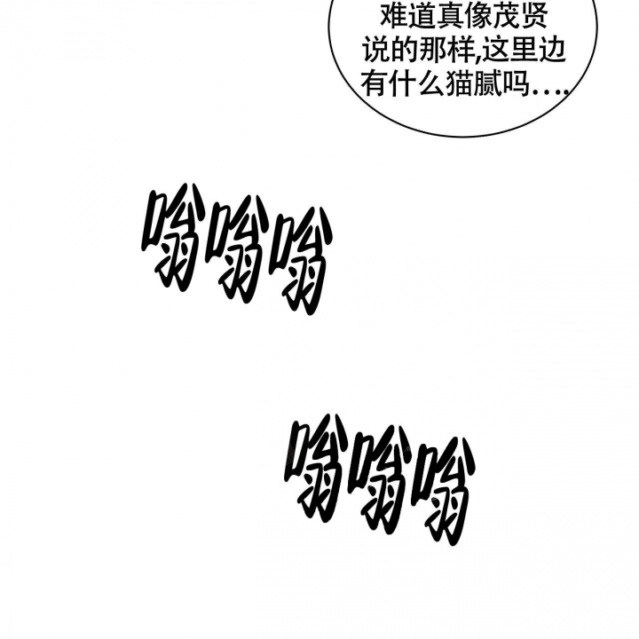 触发发票风险预警机制(红色预警)漫画,第11话5图