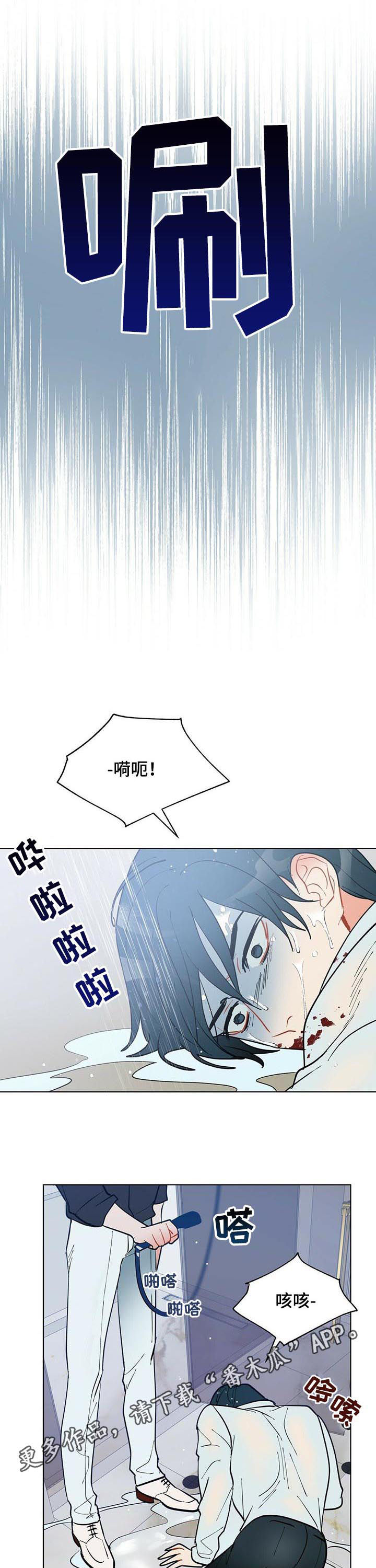 黑渡鸦相关剧情漫画,第51章：赶紧许愿1图