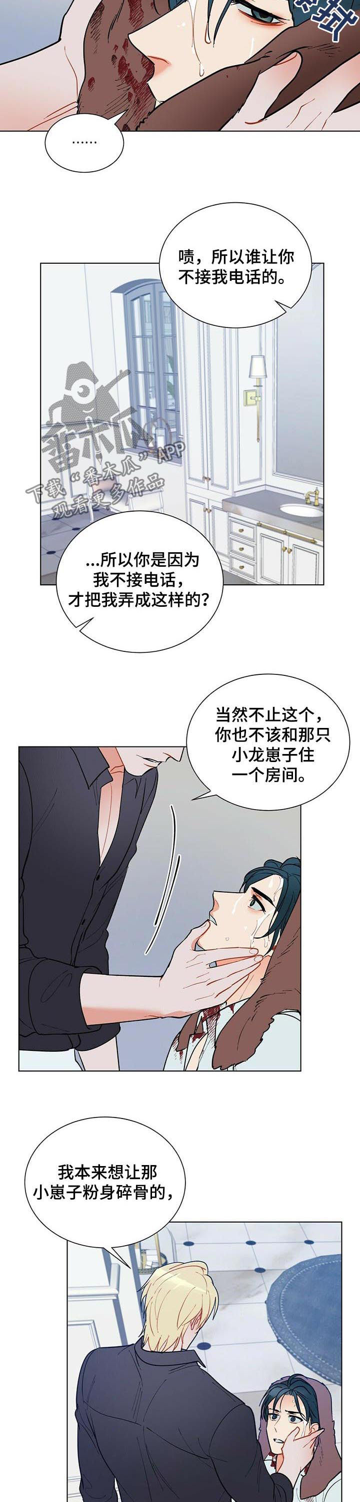 黑渡鸦相关剧情漫画,第51章：赶紧许愿3图