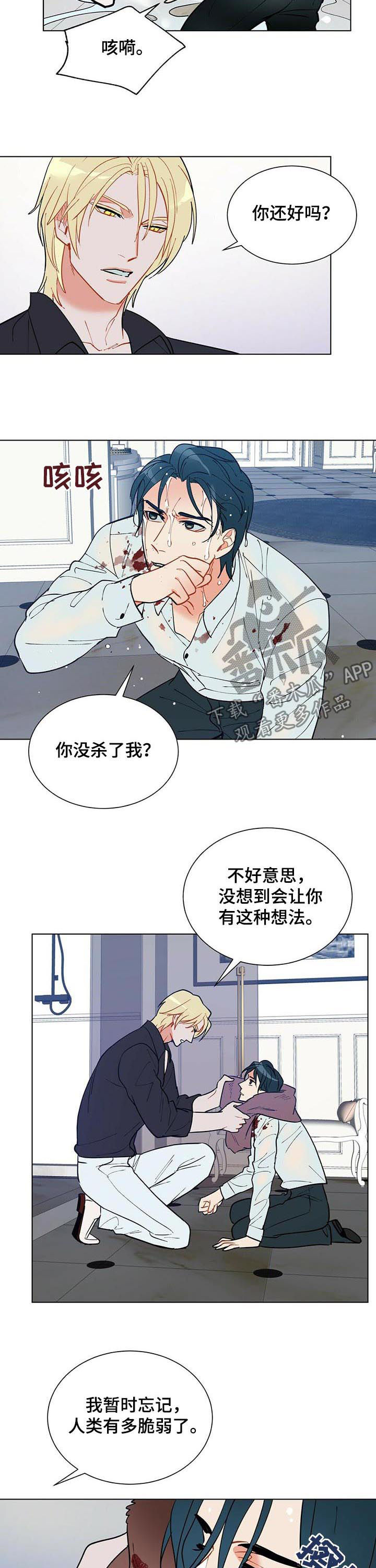 黑渡鸦相关剧情漫画,第51章：赶紧许愿2图