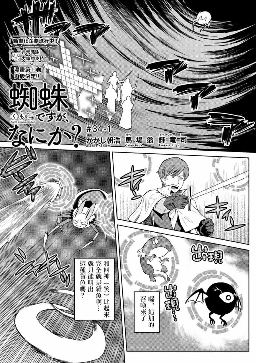 不过是蜘蛛怎么了漫画漫画,第34.1话1图