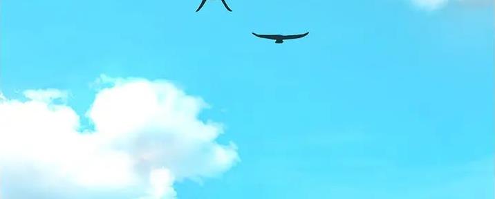 剑道学姐完结了吗漫画,第1话5图