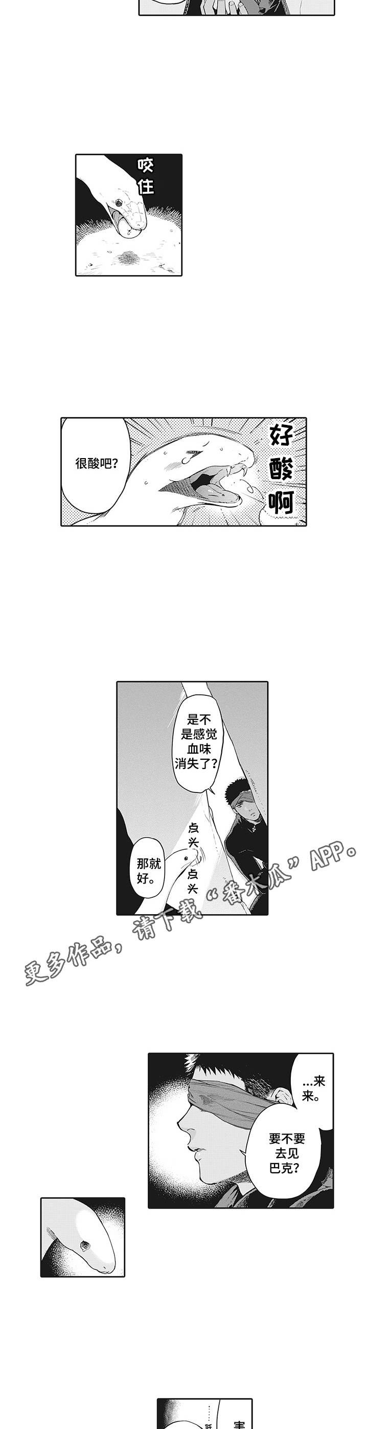 撒哈拉之眼 实地拍摄漫画,第19章：说服4图