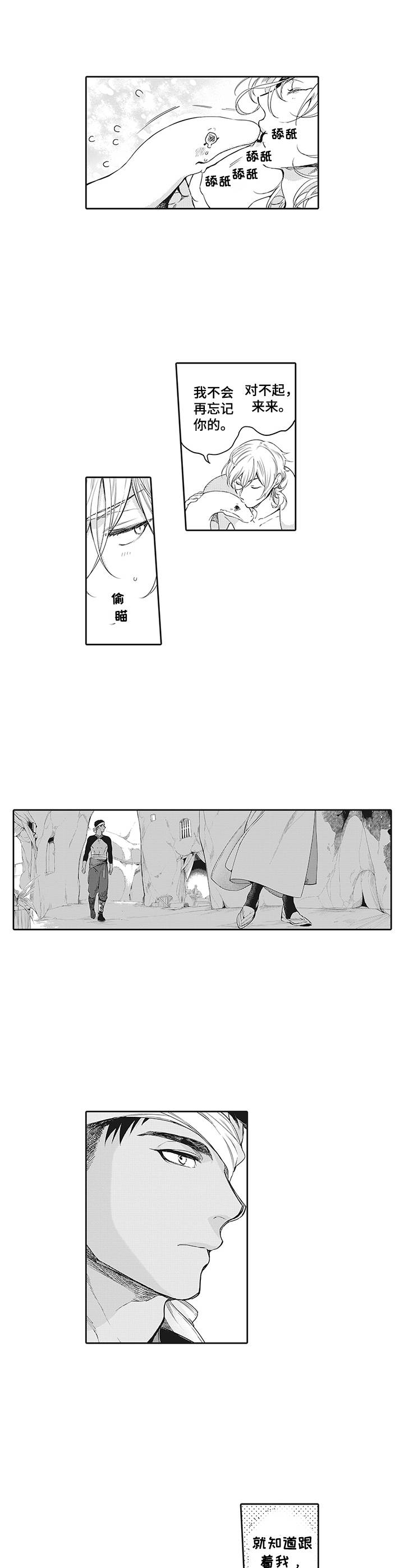 撒哈拉沙漠之狼漫画,第7章：道歉4图