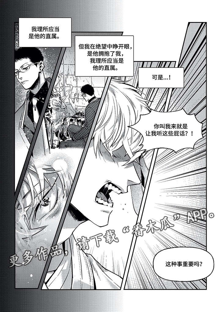 低风险区是什么意思漫画,第5章：臭小子5图