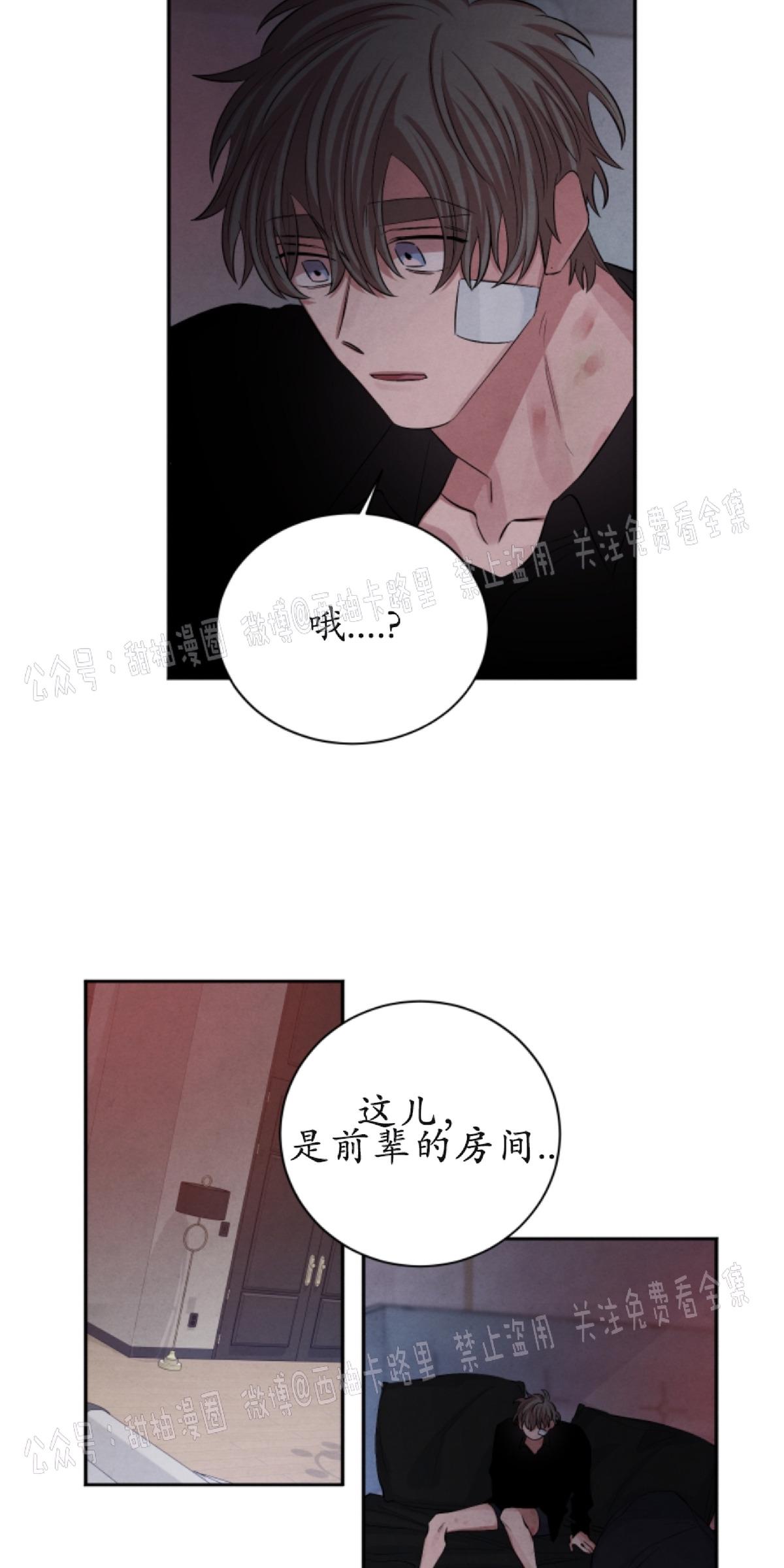 珊瑚城堡的惊天秘密漫画,第44话3图