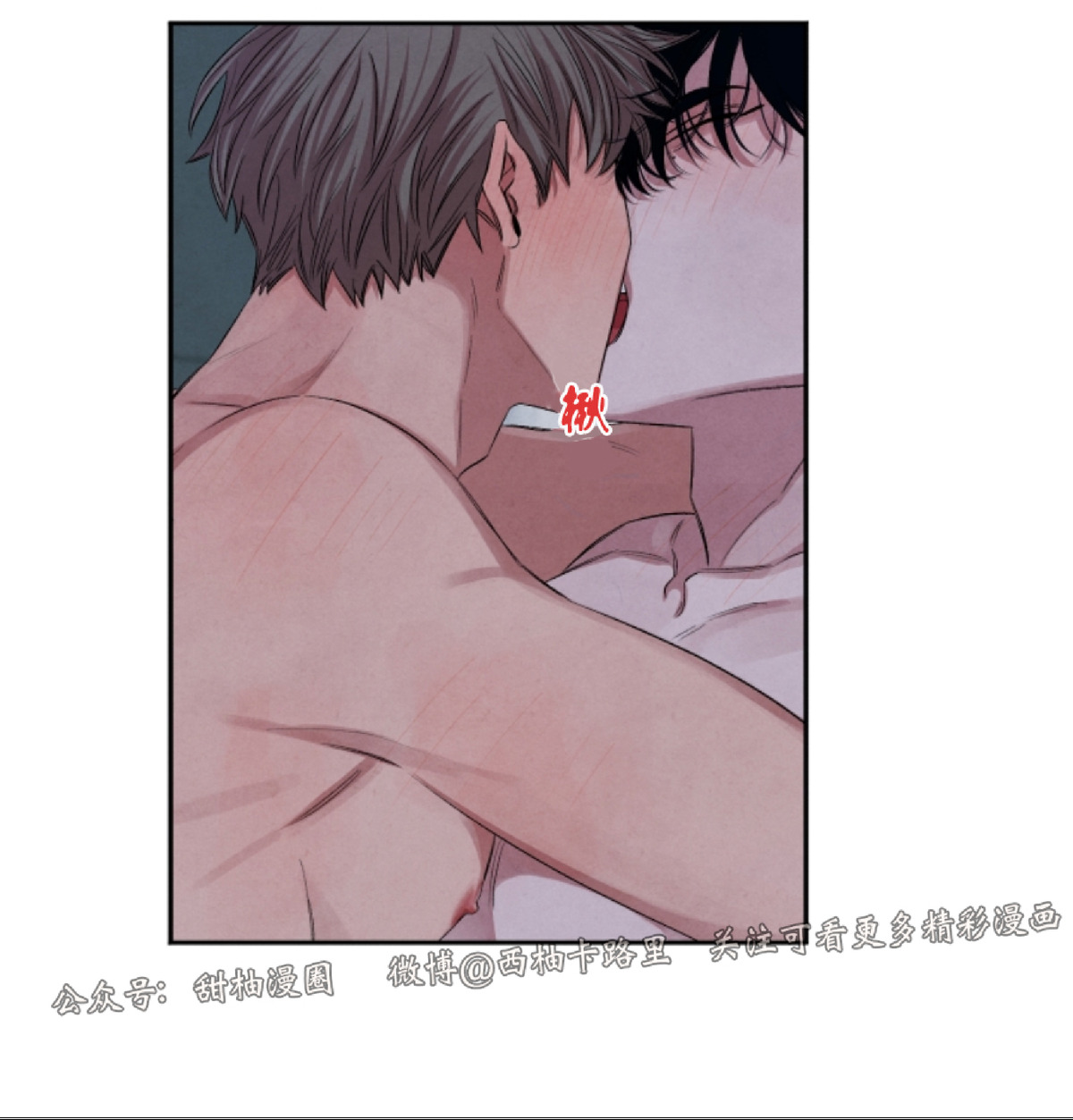 珊瑚的各种各样体现在什么地方漫画,外传53图
