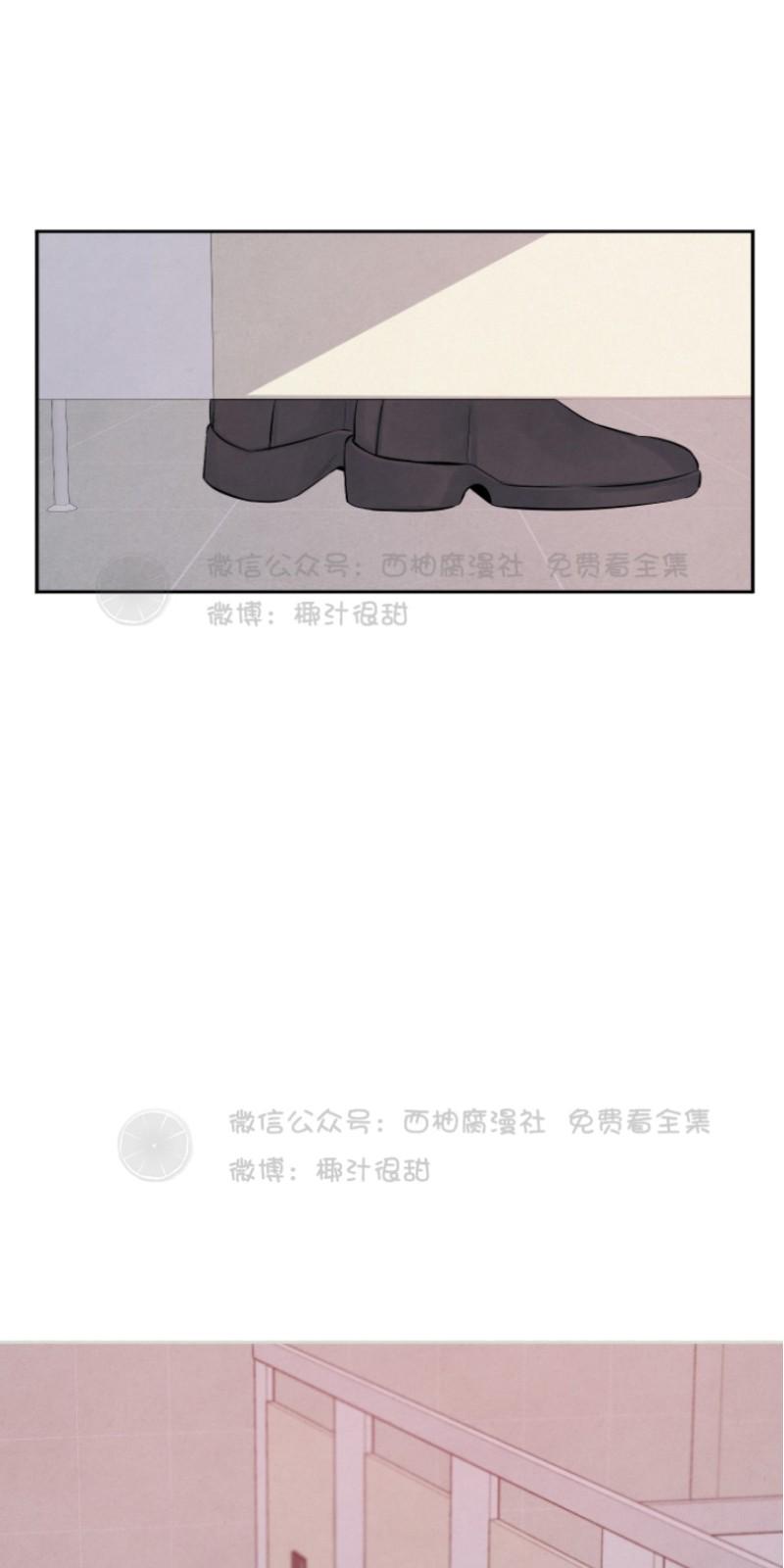 珊瑚开放的过程漫画,第11话2图