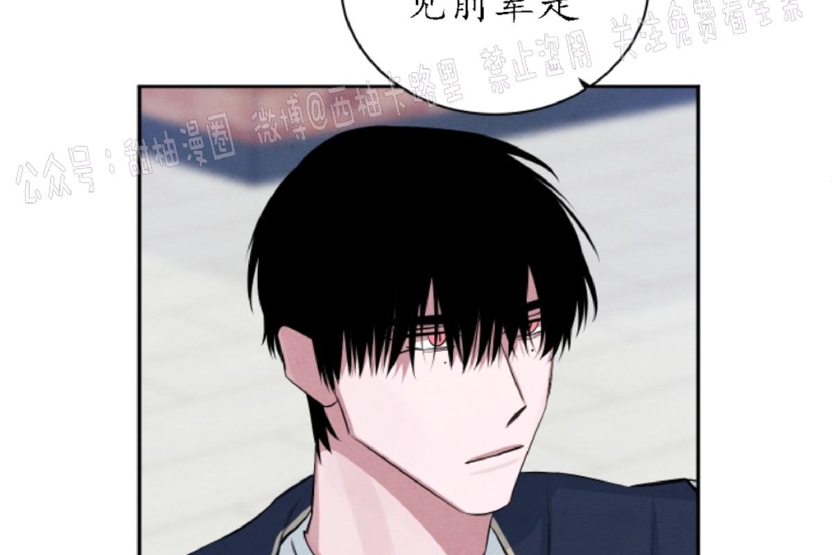 海底珊瑚的秘密漫画,第42话4图