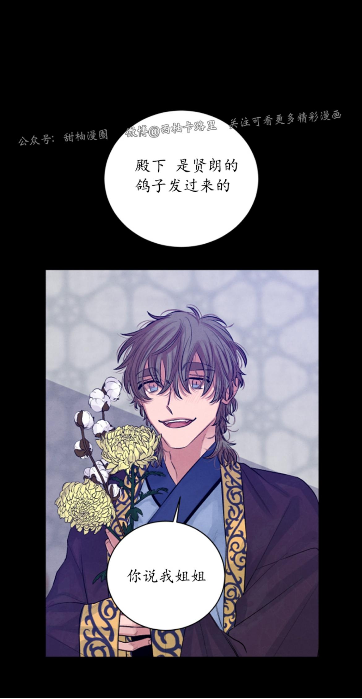 珊瑚里的秘密漫画,外传105图