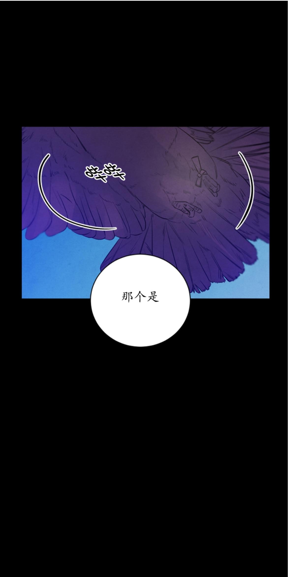 珊瑚里的秘密漫画,外传104图