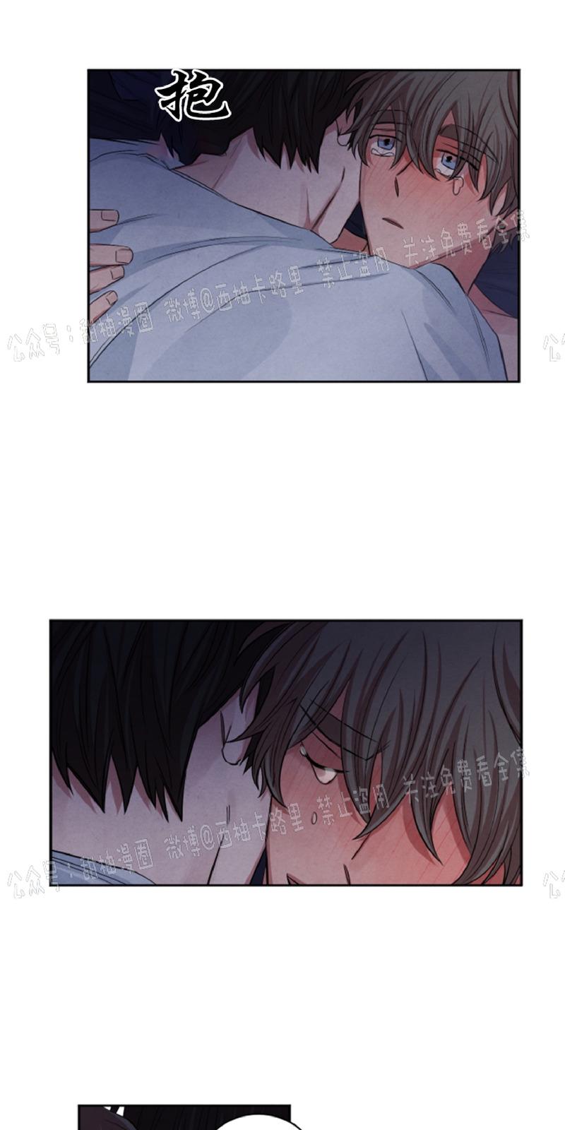 珊瑚里的秘密漫画,第40话5图