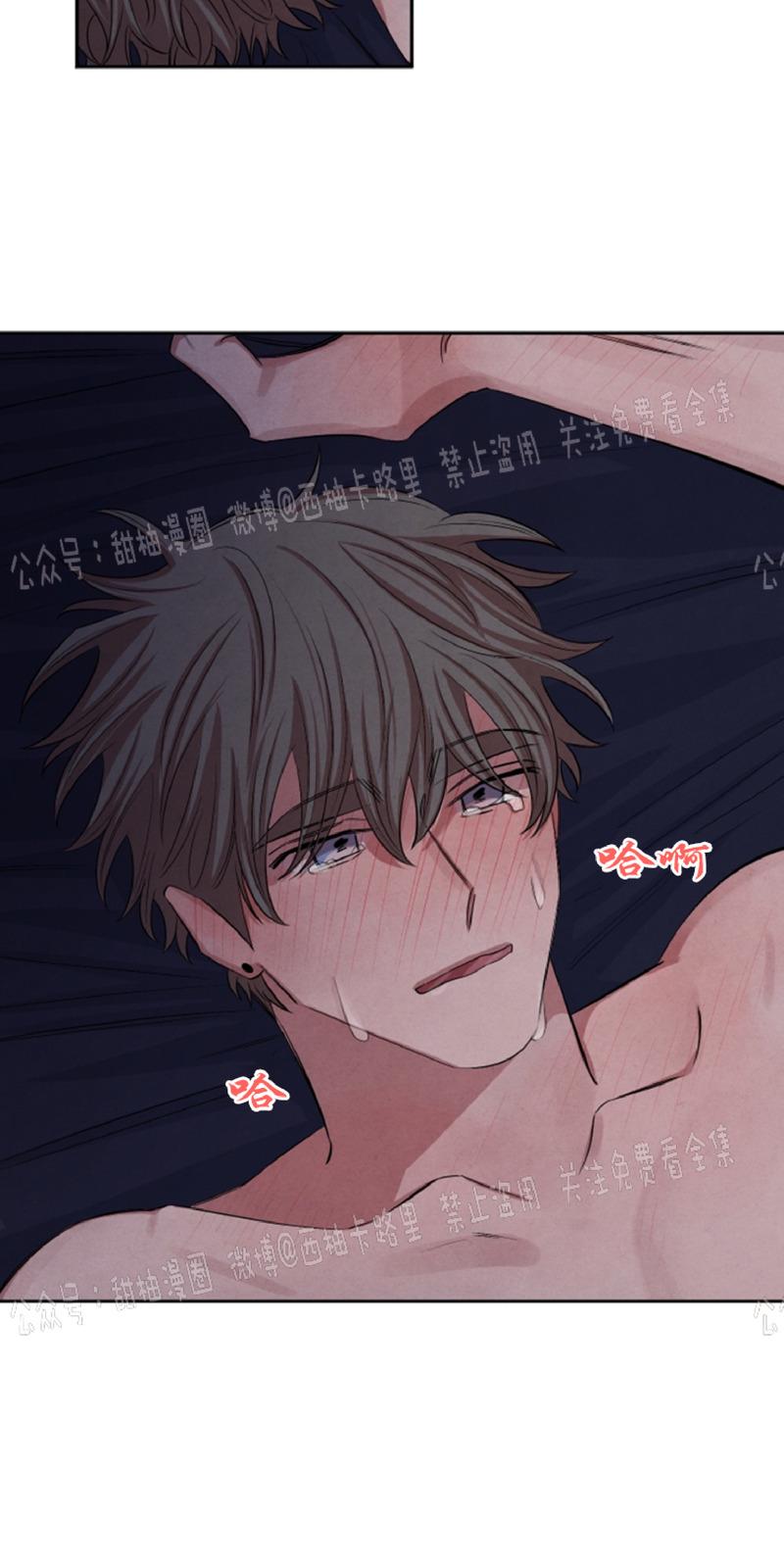 珊瑚里的秘密漫画,第40话3图