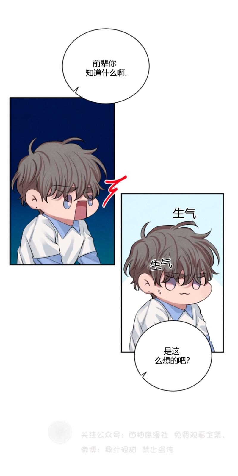 珊瑚入缸一直舒展不开漫画,第13话4图