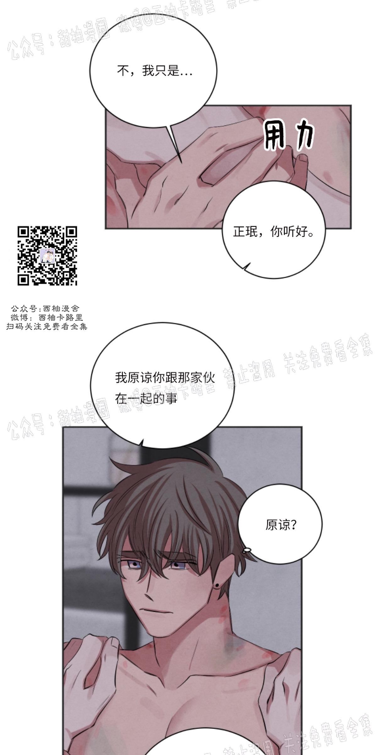 海底珊瑚的秘密漫画,第41话4图