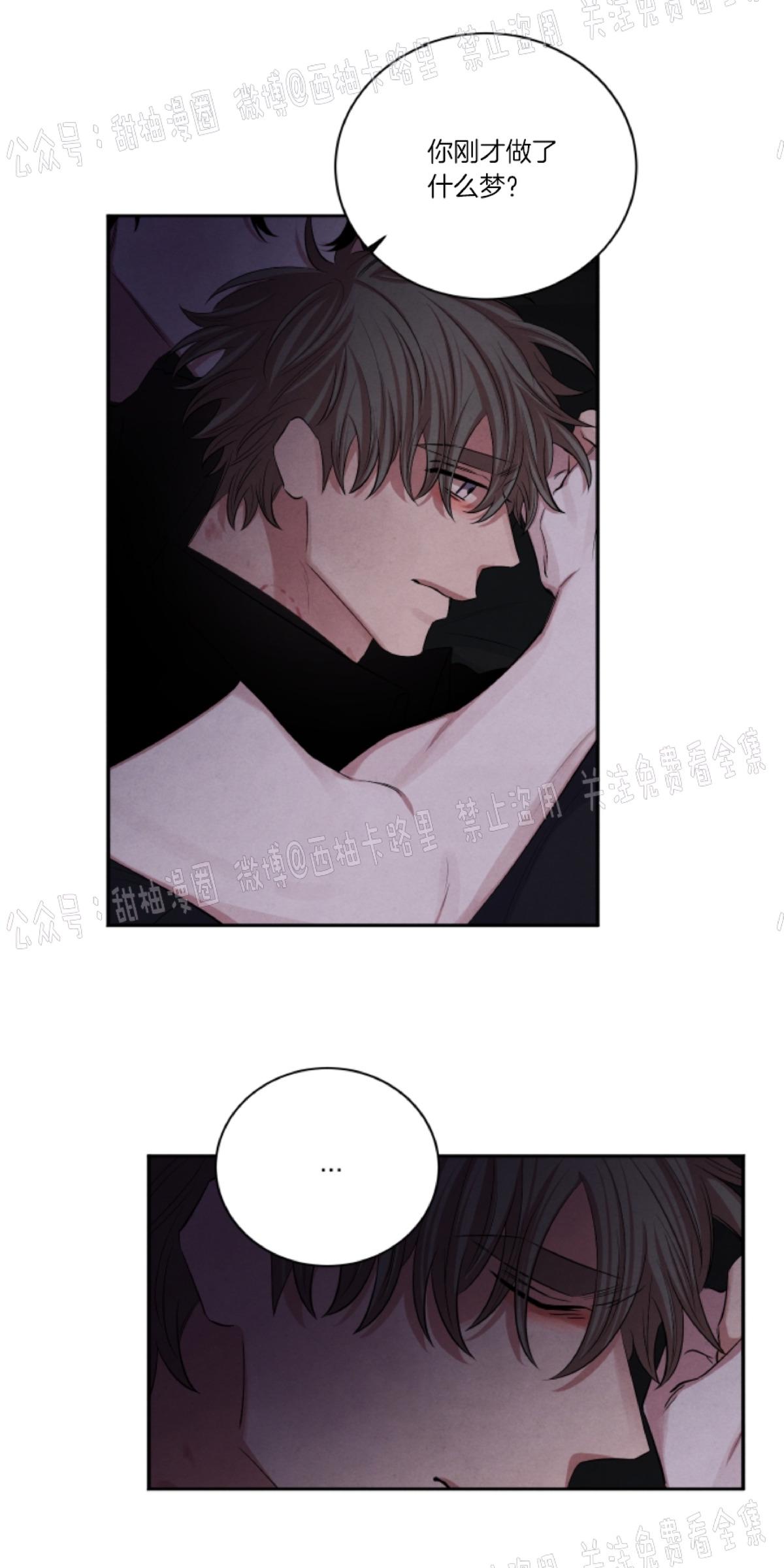 关于珊瑚的问题漫画,第47话4图