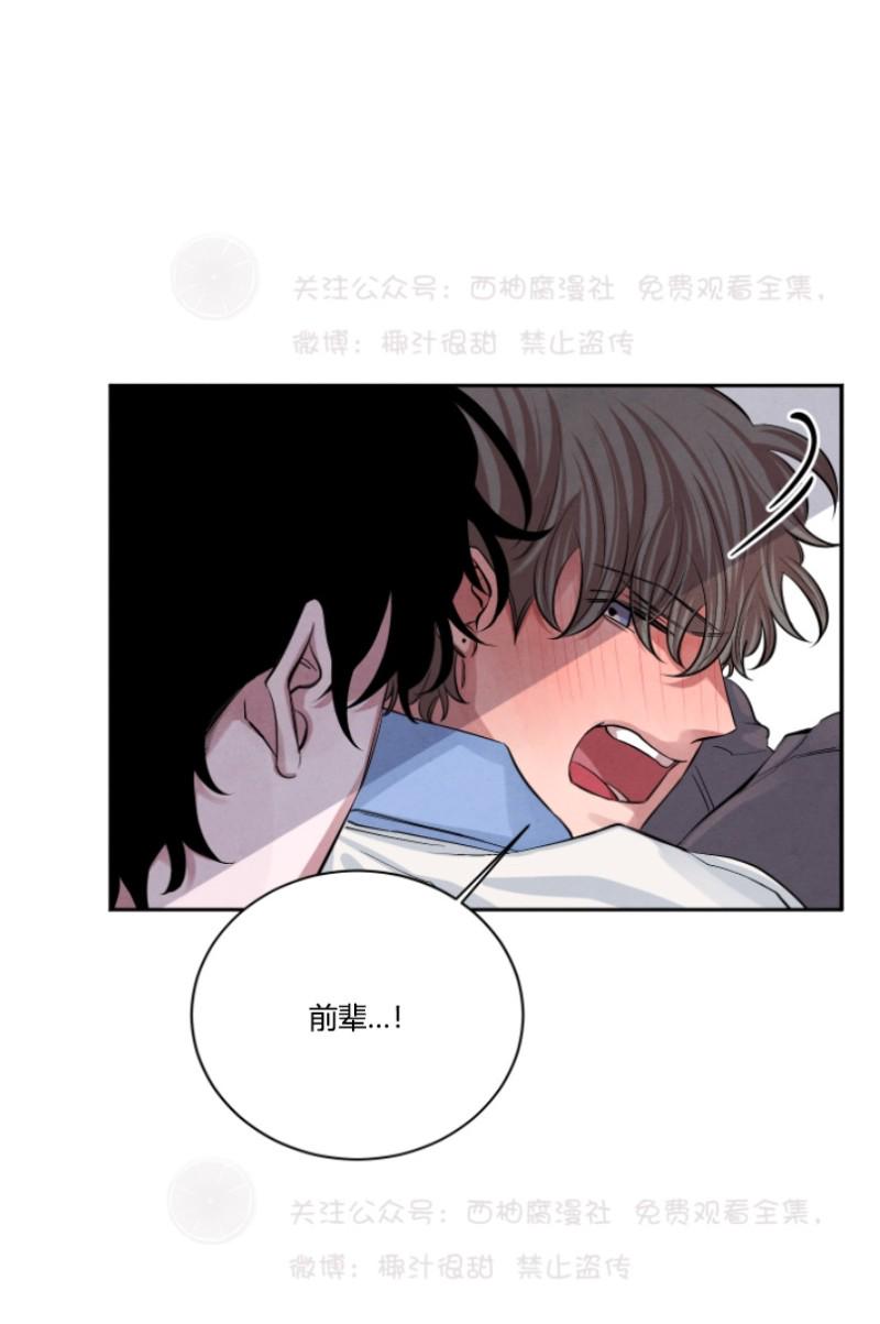 珊瑚的奇妙之处漫画,第14话2图
