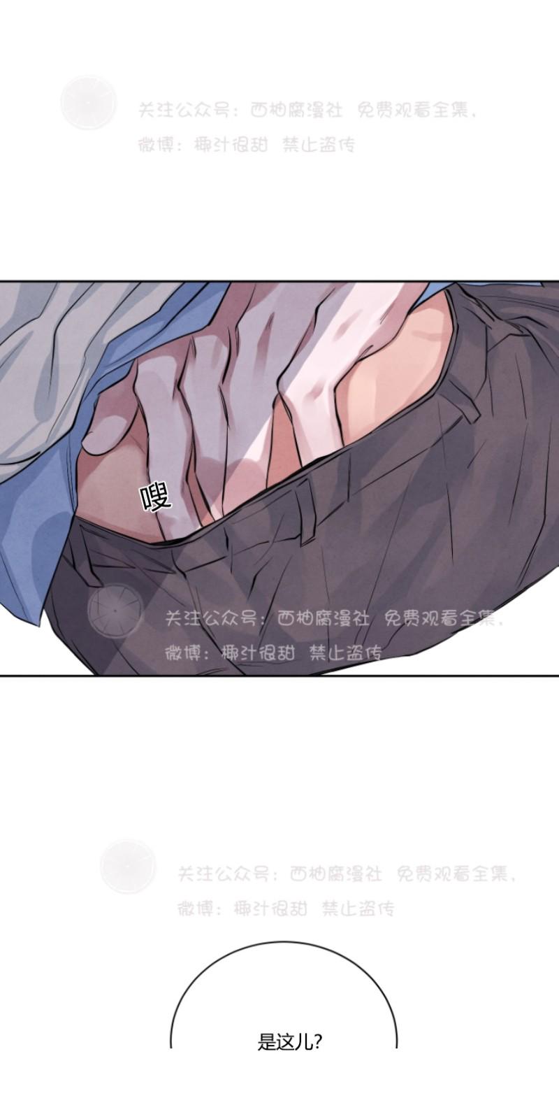 珊瑚的奇妙之处漫画,第14话1图