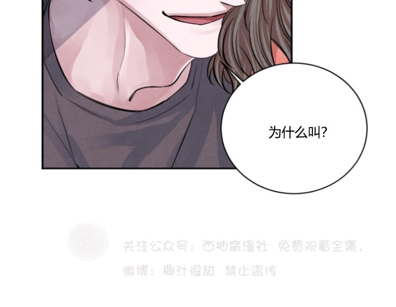 珊瑚的奇妙之处漫画,第14话5图