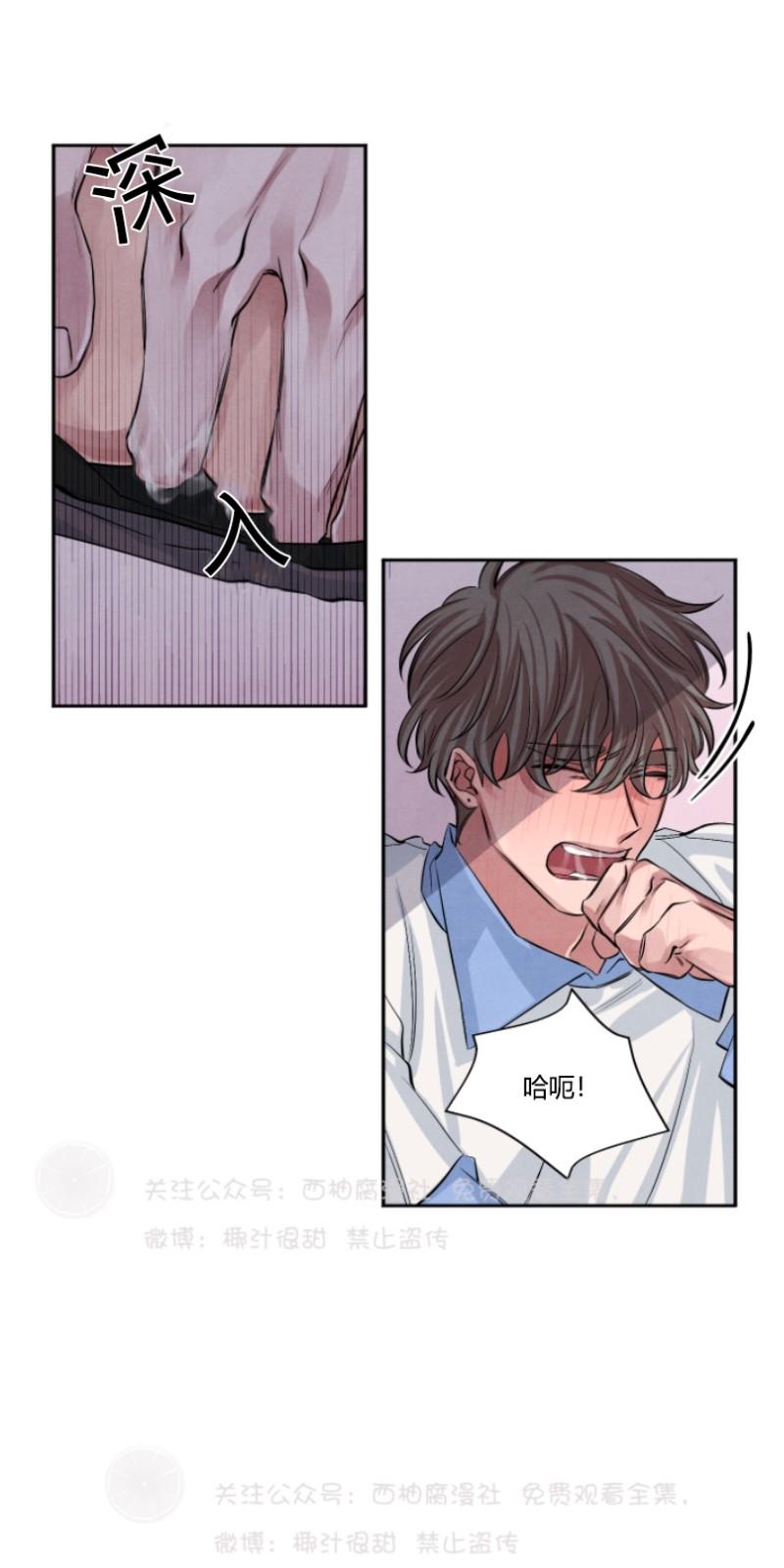 珊瑚的奇妙之处漫画,第14话3图