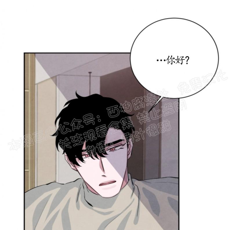 珊瑚横截面的生长结构漫画,第17话5图