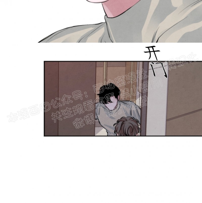 珊瑚横截面的生长结构漫画,第17话3图