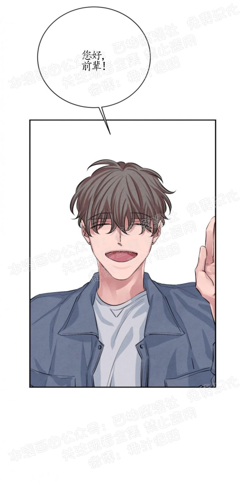 珊瑚横截面的生长结构漫画,第17话4图