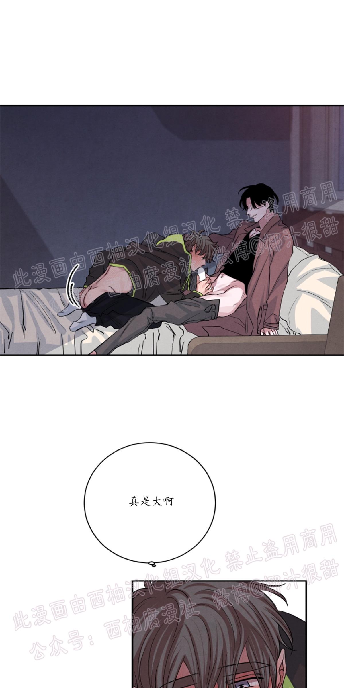 珊瑚表面纹理漫画,第28话4图