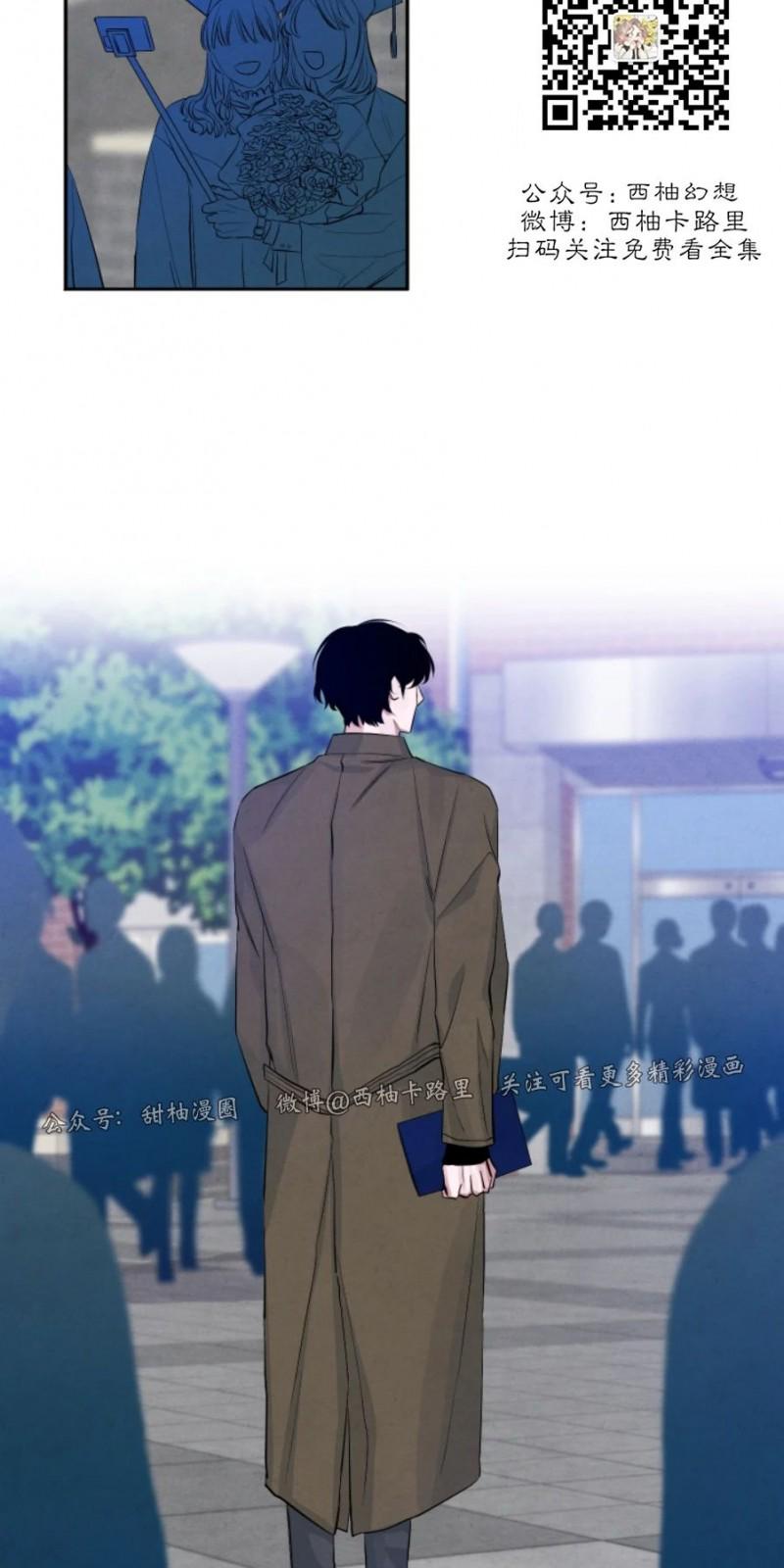 珊瑚的美体现在哪儿漫画,外传12图